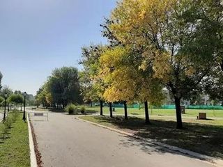 Foto 3 de Terreno en venta - 492,76mts2 - Pilar