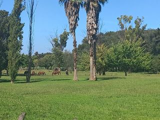 Foto 11 de Campo en fatima