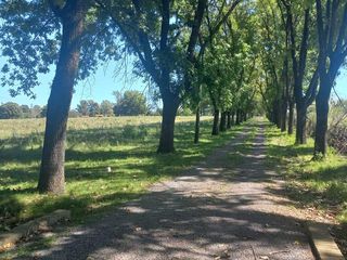 Foto 3 de Campo en fatima