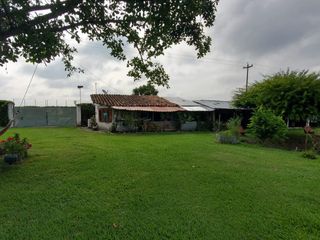 Foto 4 de Finca Villa Delly - Candelaria