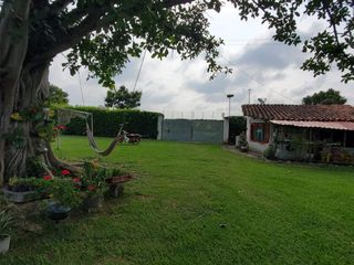 Foto 2 de Finca Villa Delly - Candelaria
