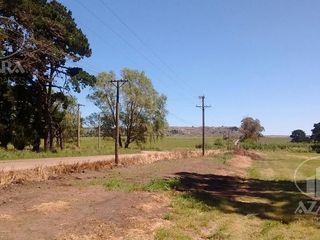 Foto 4 de Campo en Sierra de los padres