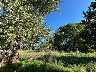 Foto 4 de VENTA DE LOTE EN Bº LA PARADA - CORONEL BRANDSEN