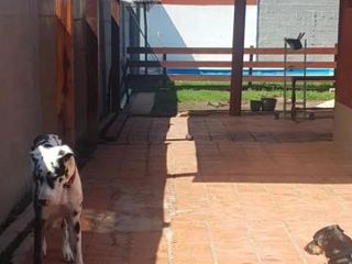 Foto 13 de Casa en Venta - 3 Dormitorios 2 Baños - 234Mts2