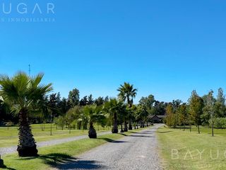 Foto 6 de Alquiler Temporal - Casa en Barrio Marinas Del Pilar