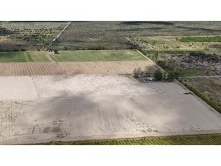 Foto 2 de VENTA DE FINCA 40 HAS CALLE LA FLORIDA, EN EL MIRADOR - RIVADAVIA,MZA