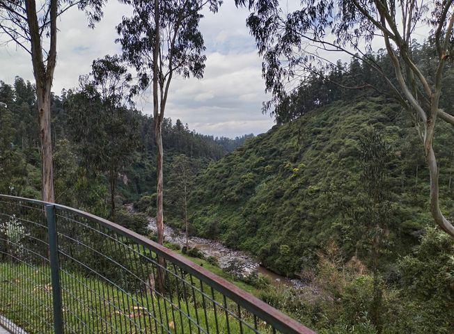 place photo 33