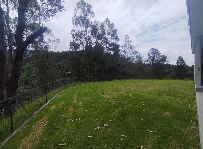 place photo 51