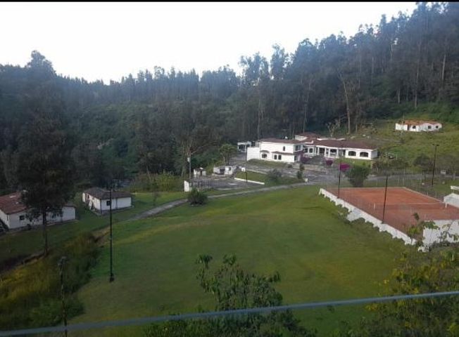 place photo 26