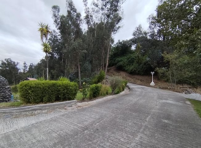 place photo 32