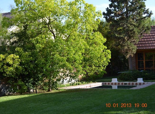 place photo 36