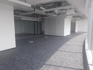Foto 4 de Alquilo todo el piso en torre empresarial