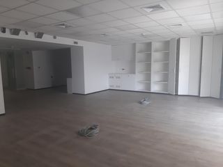 Foto 19 de Alquilo todo el piso en torre empresarial