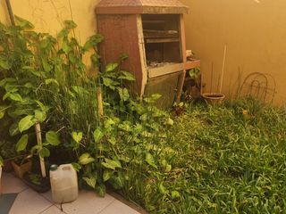 Foto 2 de PH de 3 ambientes con patio / jardin con parrilla