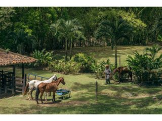 Foto 23 de Vendo hermoso lote con vista sector Bolombolo, unidad cerrada
