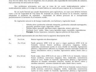 Foto 4 de SE VENDE CHACRA