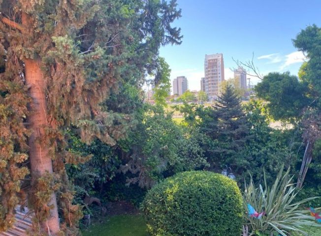 place photo 41