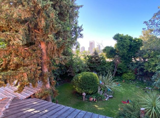 place photo 42