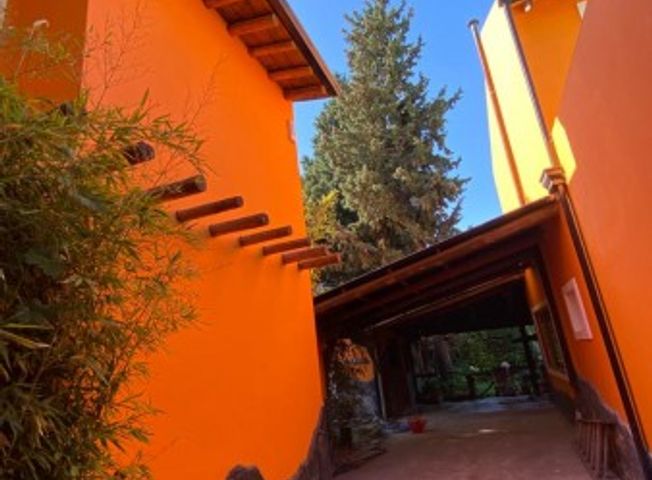 place photo 53