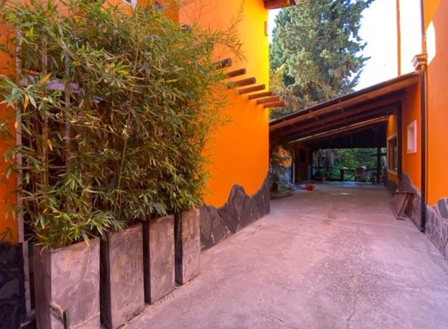 place photo 56