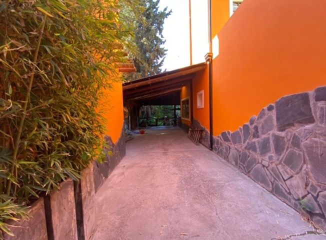 place photo 54