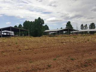 Foto 7 de Excelente finca de 200 has. con tres pozos y 51 has de viÃ±edos, riego por goteo y 2 pivot.