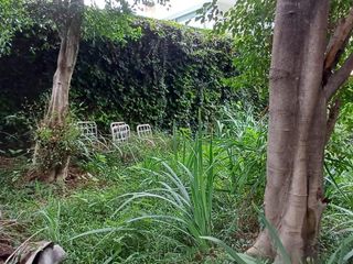 Foto 13 de Casa en Venta en Villa Devoto (lote 10m x 40m)