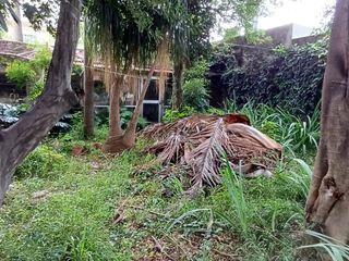 Foto 12 de Casa en Venta en Villa Devoto (lote 10m x 40m)