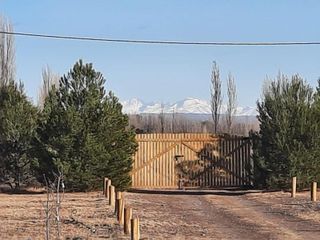 Foto 15 de Casa en venta - 3 Dormitorios 2 Baños - 5.000Mts2 - Mendoza