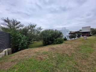 Foto 12 de Lote central Las Cañitas 570mts2