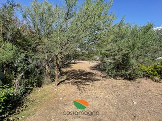 Foto 7 de Lote central Las Cañitas 570mts2