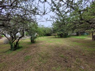 Foto 14 de Lote central Las Cañitas 570mts2