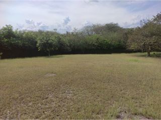 Foto 2 de LOTE EN VENTA  EN SOPETRAN ANTIOQUIA.