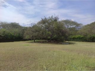 Foto 5 de LOTE EN VENTA  EN SOPETRAN ANTIOQUIA.
