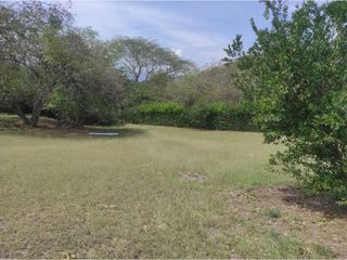 Foto 6 de LOTE EN VENTA  EN SOPETRAN ANTIOQUIA.