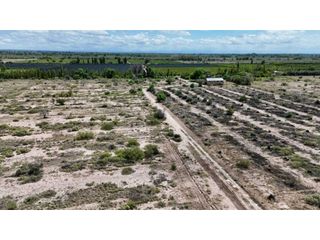 Foto 4 de VENTA EXCEPCIONAL FINCA DE 231 HAS EN LOS CAMPAMENTOS- RIVADAVIA, MZA