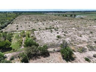 Foto 5 de VENTA EXCEPCIONAL FINCA DE 231 HAS EN LOS CAMPAMENTOS- RIVADAVIA, MZA