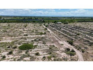 Foto 8 de VENTA EXCEPCIONAL FINCA DE 231 HAS EN LOS CAMPAMENTOS- RIVADAVIA, MZA