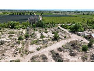 Foto 1 de VENTA EXCEPCIONAL FINCA DE 231 HAS EN LOS CAMPAMENTOS- RIVADAVIA, MZA