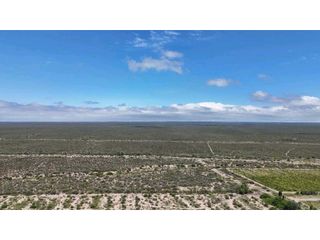 Foto 11 de VENTA EXCEPCIONAL FINCA DE 231 HAS EN LOS CAMPAMENTOS- RIVADAVIA, MZA