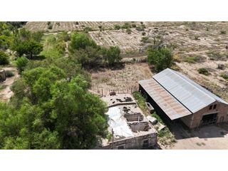 Foto 6 de VENTA EXCEPCIONAL FINCA DE 231 HAS EN LOS CAMPAMENTOS- RIVADAVIA, MZA