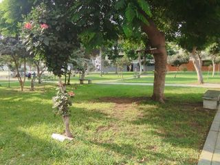 Foto 33 de VENTA CASA 190 M2 PRO LIMA LOS OLIVOS