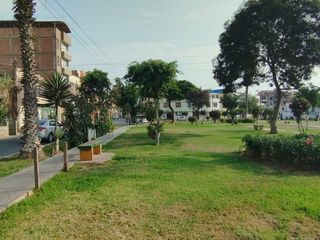 Foto 31 de VENTA CASA 190 M2 PRO LIMA LOS OLIVOS