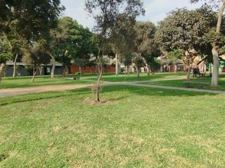 Foto 34 de VENTA CASA 190 M2 PRO LIMA LOS OLIVOS