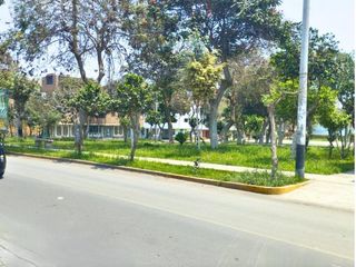 Foto 30 de VENTA CASA 190 M2 PRO LIMA LOS OLIVOS
