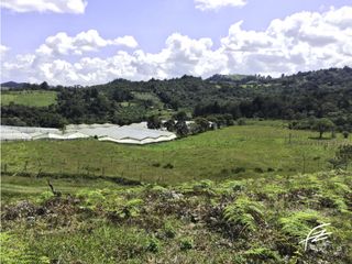 Foto 11 de LOTES EN VENTA EN GUARNE, ANTIOQUIA