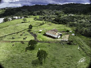 Foto 1 de LOTES EN VENTA EN GUARNE, ANTIOQUIA