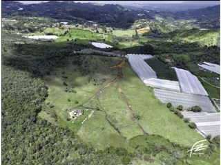 Foto 5 de LOTES EN VENTA EN GUARNE, ANTIOQUIA