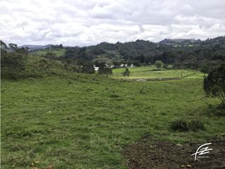 Foto 9 de LOTES EN VENTA EN GUARNE, ANTIOQUIA