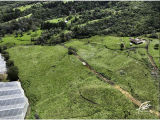 Foto 7 de LOTES EN VENTA EN GUARNE, ANTIOQUIA
